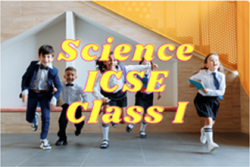 Science (ICSE) - Class I